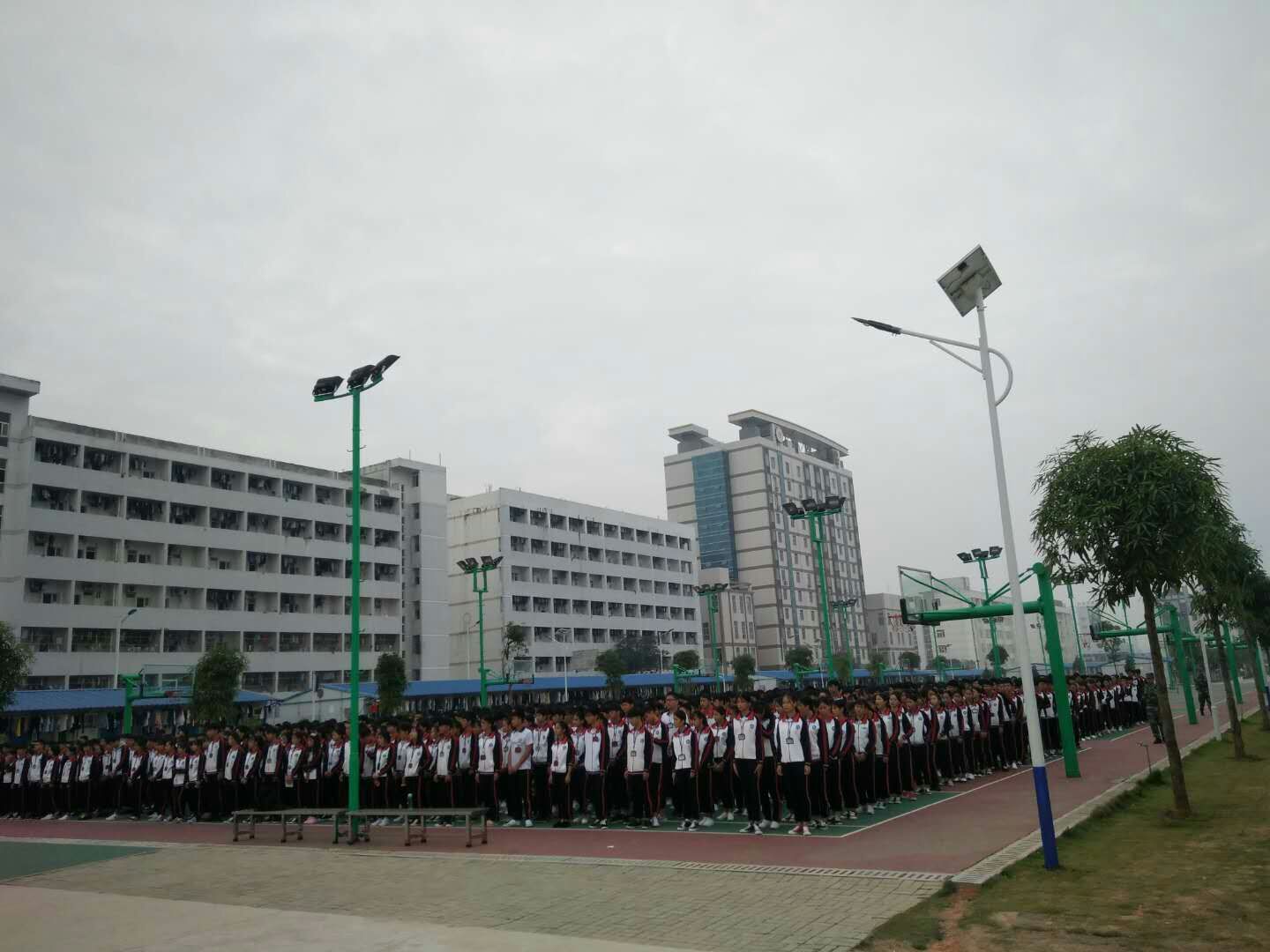 12.jpg