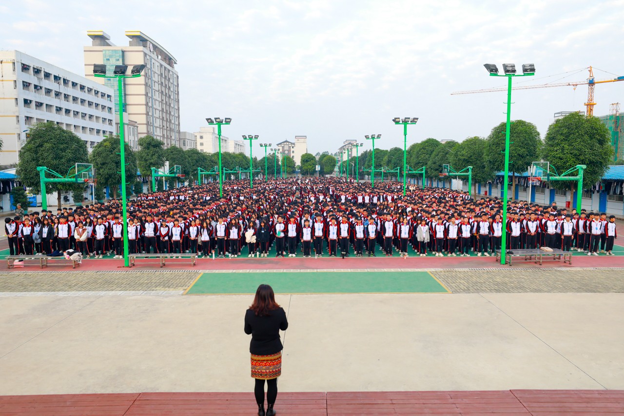 _d_a8445.jpg