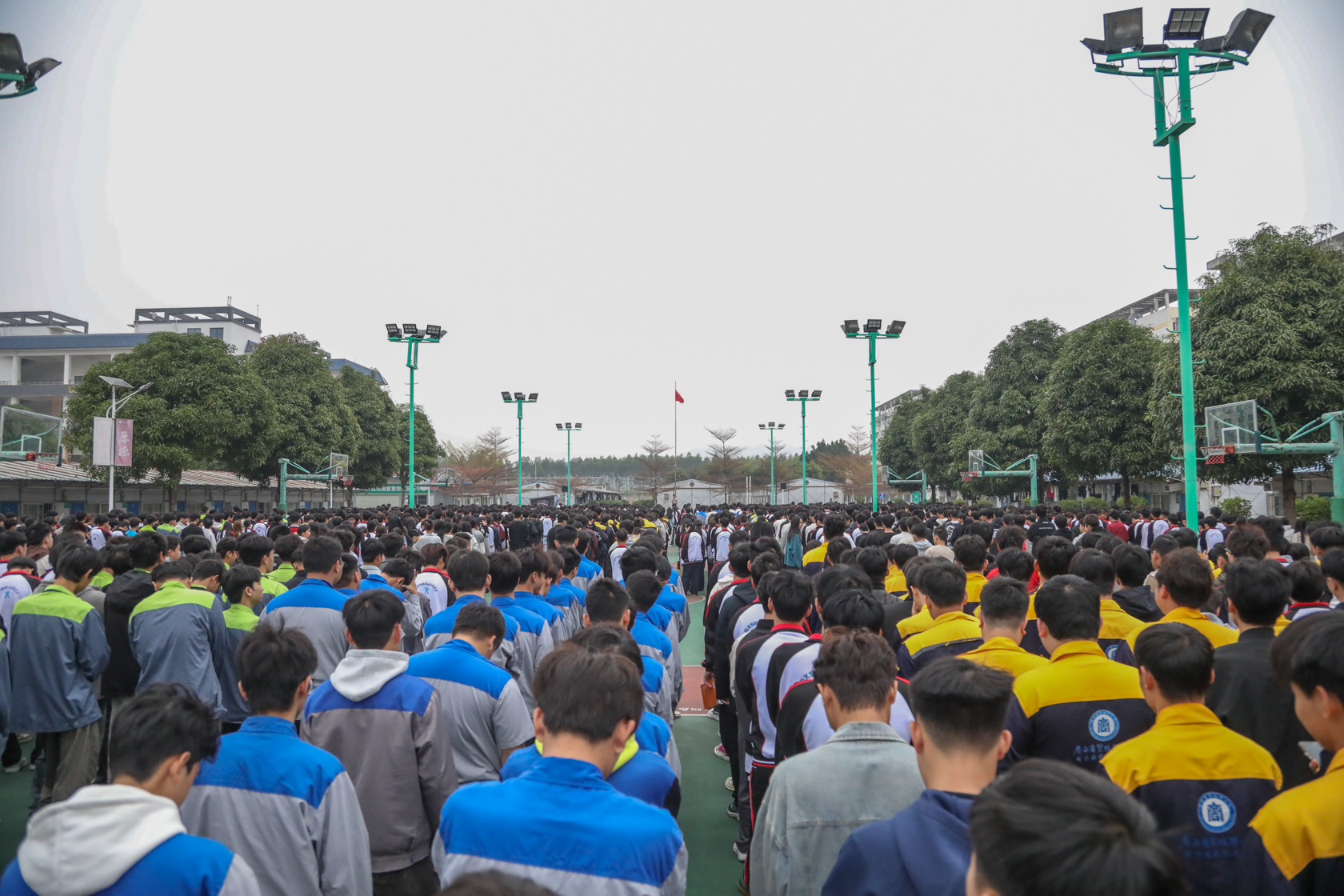 5d4b8725.jpg