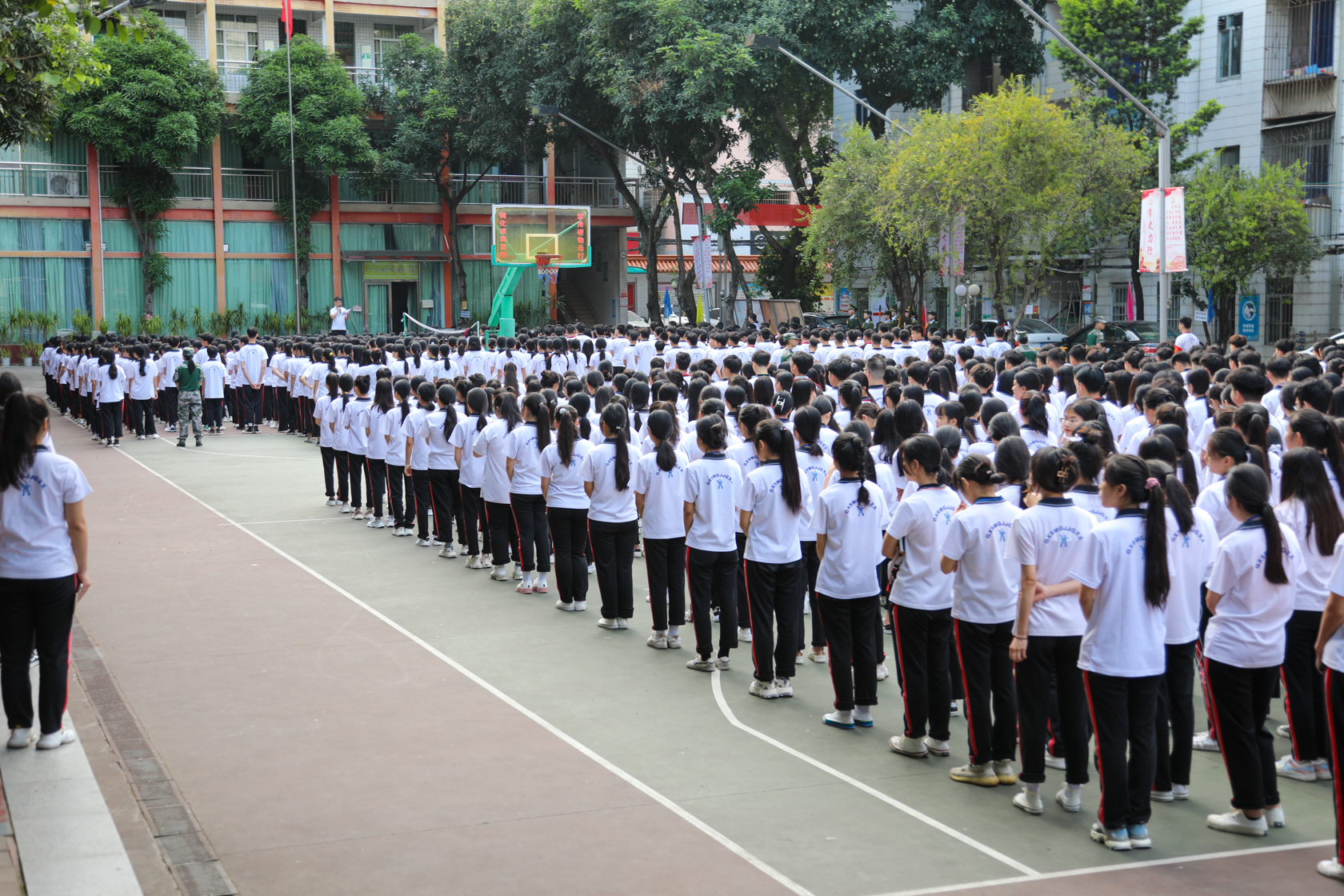 5d_a9133.jpg