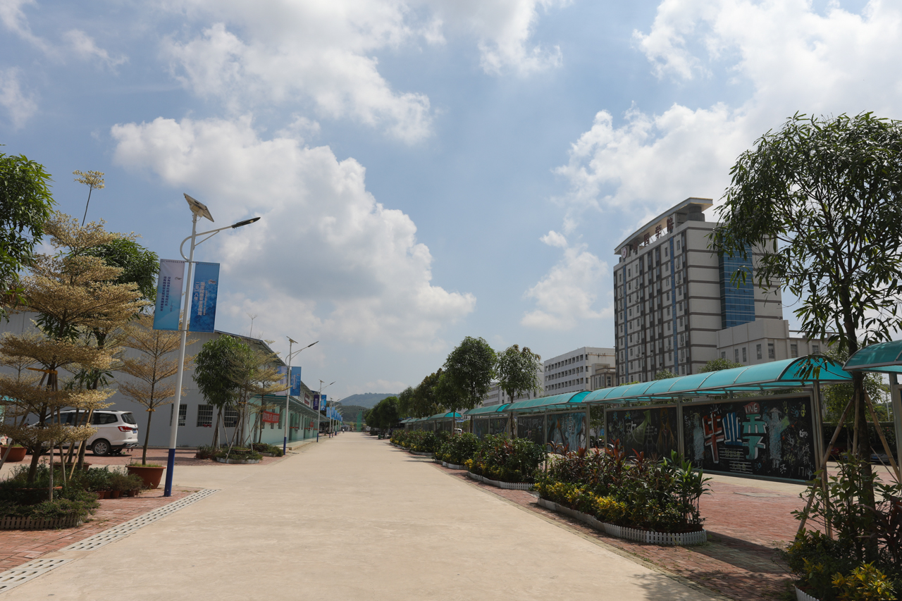 003广西商贸高级技工学校明阳校区主干道路灯道旗.jpg 003广西商贸高级技工学校明阳校区主干道路灯道旗.jpg